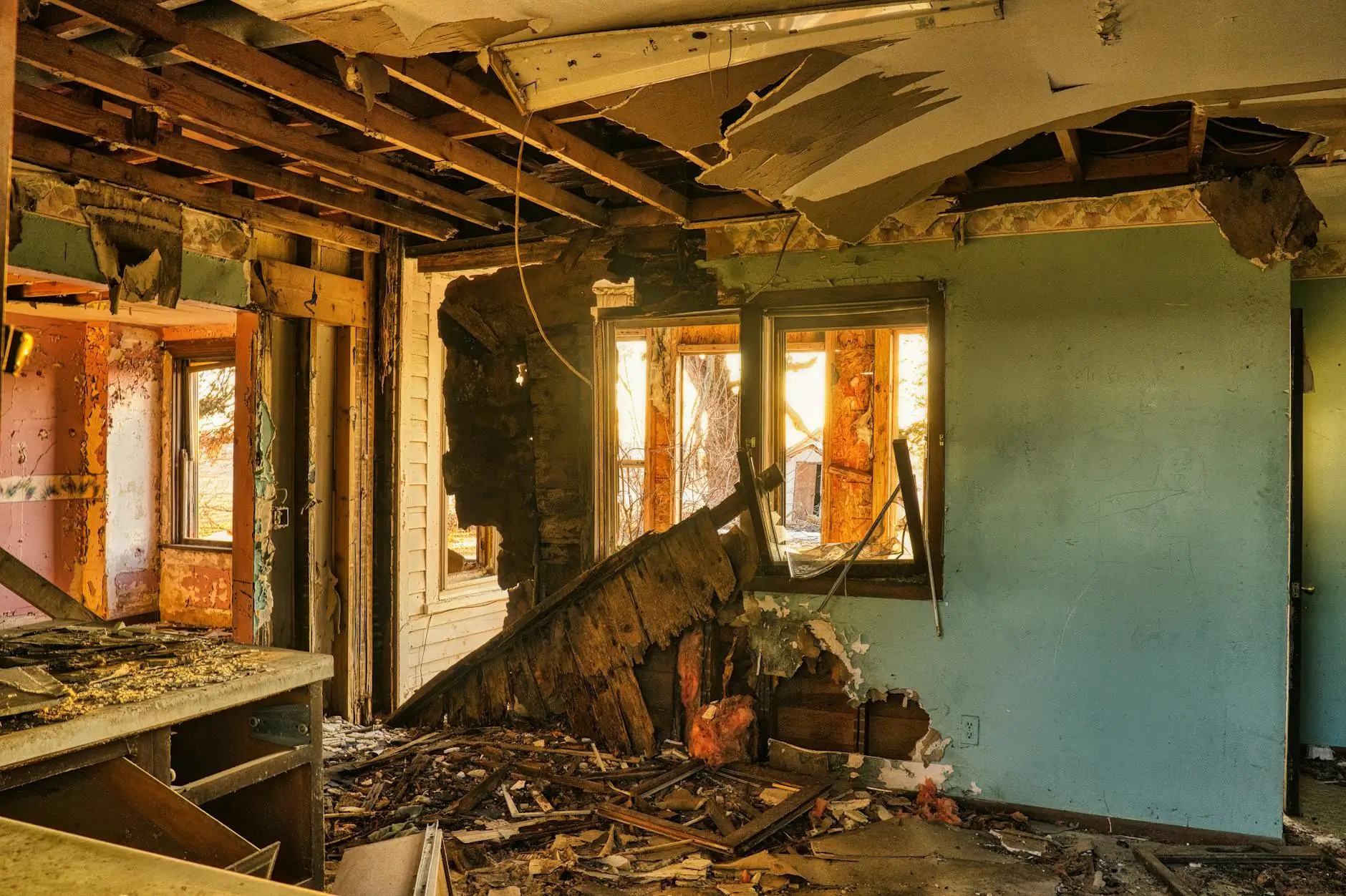 Cerritos' Dedicated Indoor Air Quality & Mold Removal Experts — Cerritos, CA